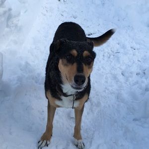 Meet your Posher, Lynn